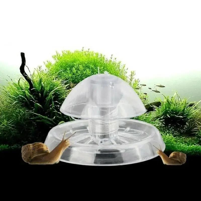 Aquarium Fish Gallery - กับดักหอยทากพลาสติกใสขนาด 6/8 ซม. รุ่นใหม่ ปี 2026