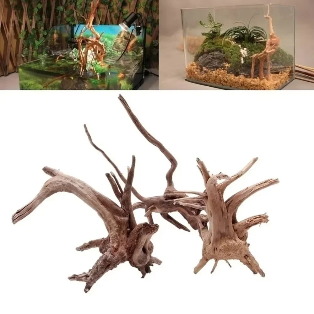 Aquarium Fish Gallery - ไม้ลอยน้ำธรรมชาติขนาด 15-20 ซม. สำหรับตกแต่งตู้ปลา - ของตกแต่งตู้ปลาคุณภาพพรีเมียม