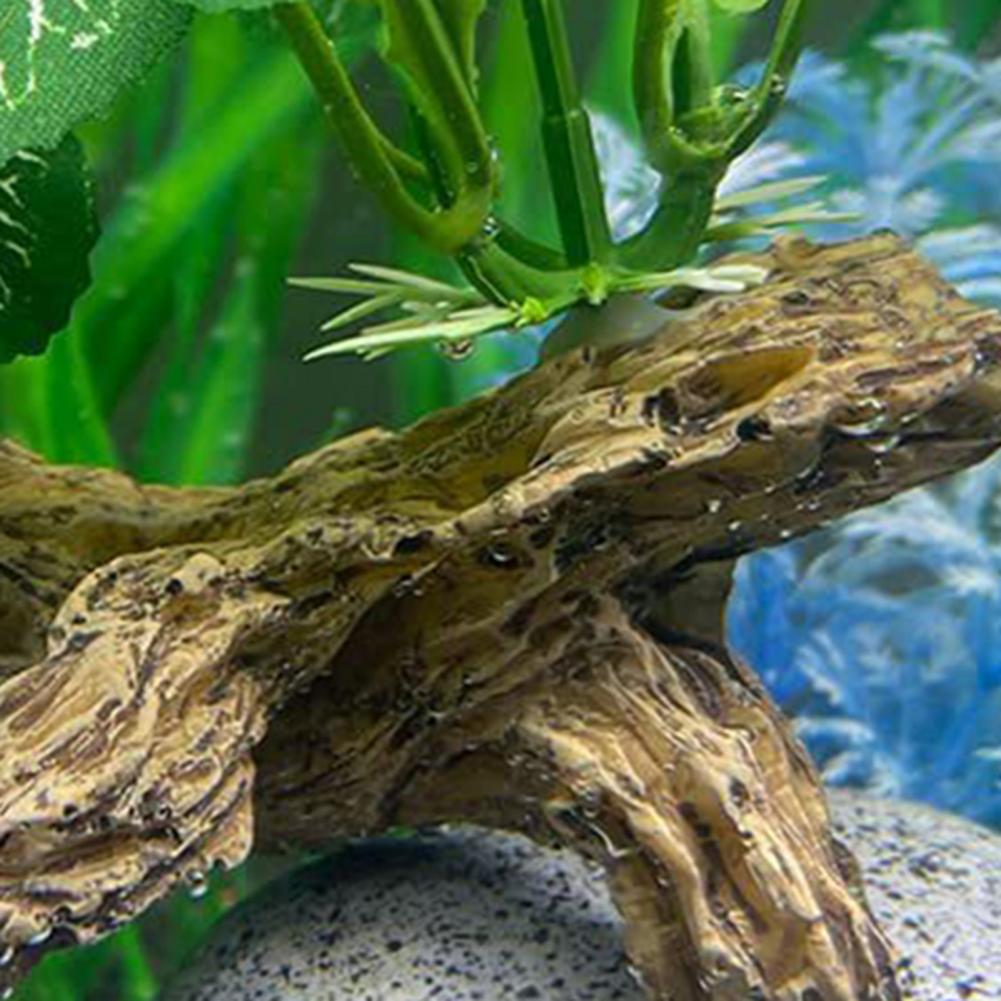 ของตกแต่งตู้ปลาที่ไม่ต้องดูแลม - Aquarium Fish Low Maintenance บทวิจารณ์และราคา