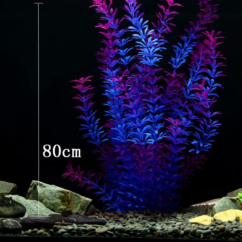 ต้นไม้เขตร้อนขนาด 100 ซม. หญ้า - Aquarium Fish Gallery บทวิจารณ์และราคา