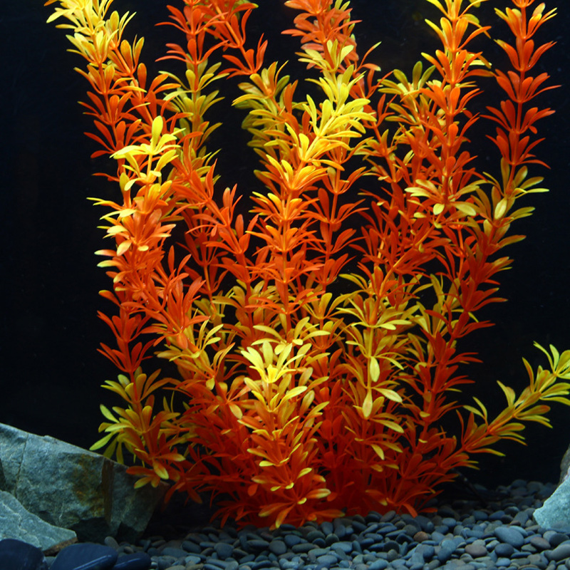 ต้นไม้เขตร้อนขนาด 100 ซม. หญ้า - Aquarium Fish Gallery บทวิจารณ์และราคา