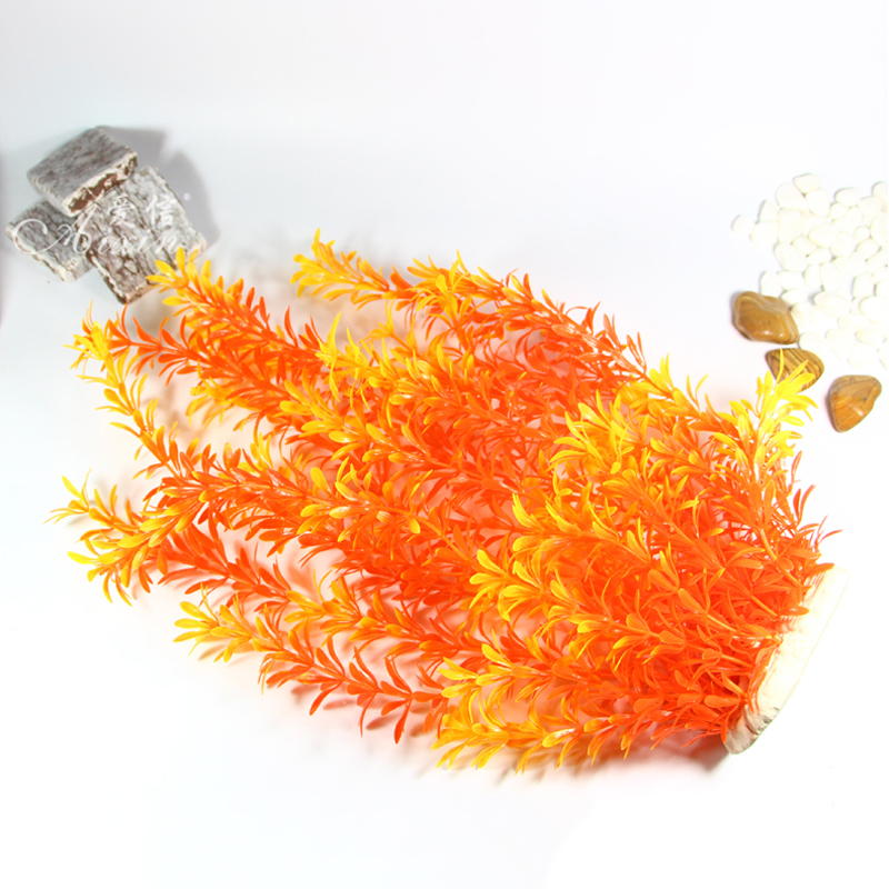 ต้นไม้เขตร้อนขนาด 100 ซม. หญ้า - Aquarium Fish Gallery บทวิจารณ์และราคา