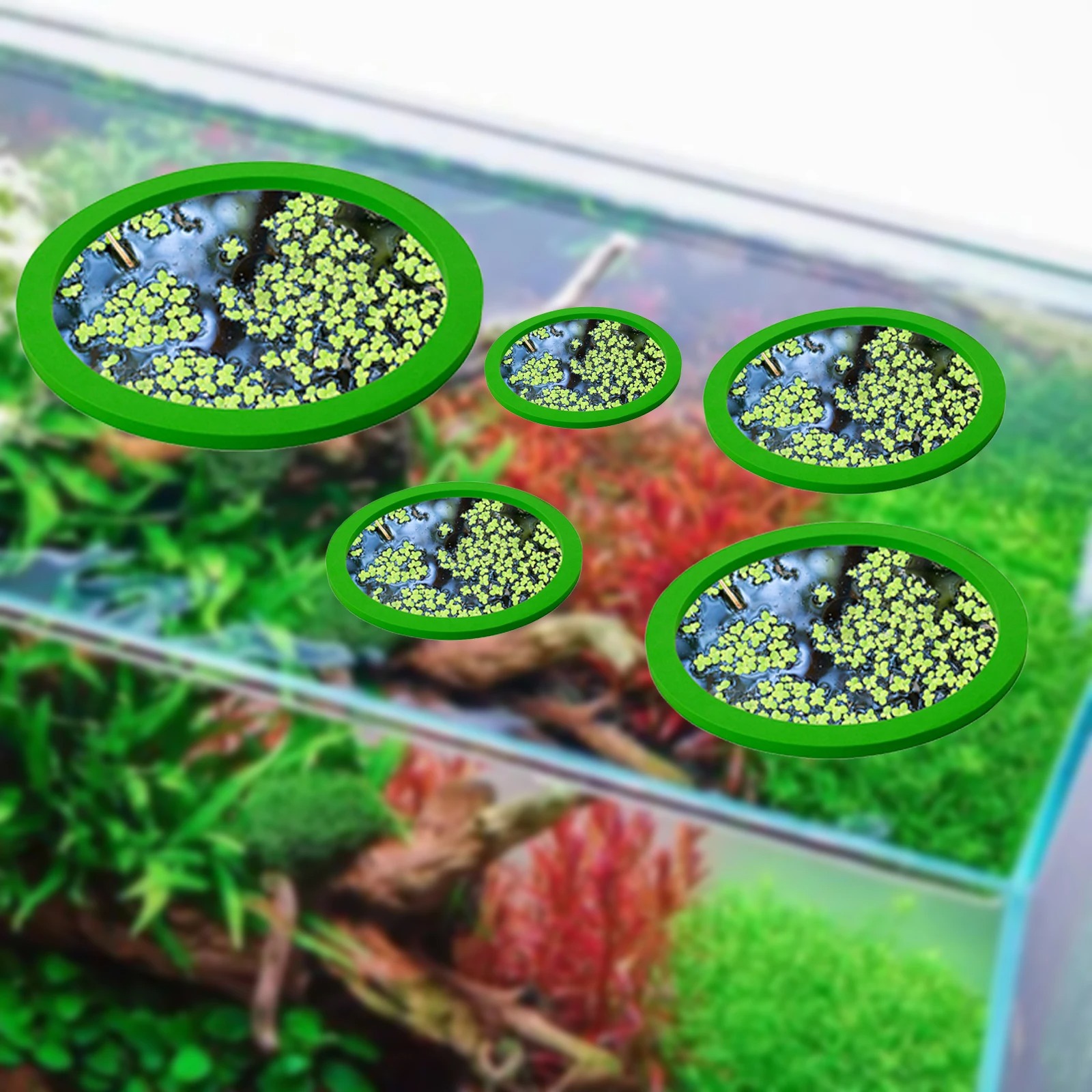 5 ชิ้น EVA ปลา Feeding แหวน Aq - Aquarium Fish Gallery บทวิจารณ์และราคา