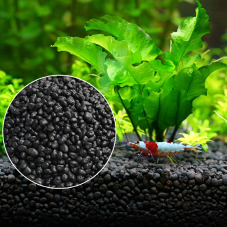 พิพิธภัณฑ์สัตว์น้ำเมล็ดพืชดิน  - Aquarium Fish Gallery บทวิจารณ์และราคา
