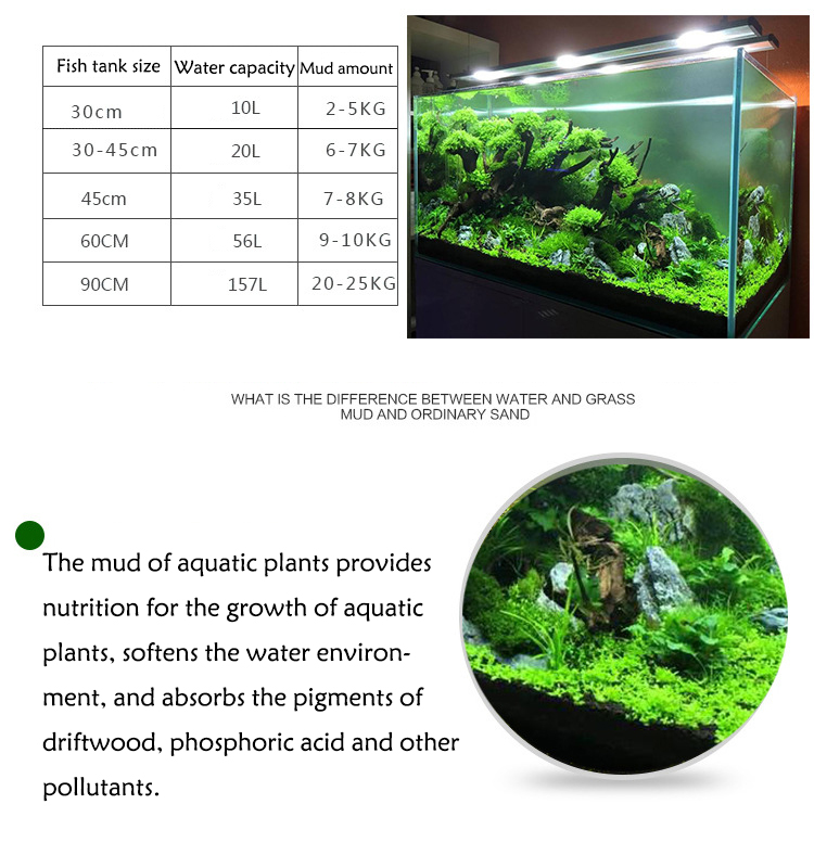 พิพิธภัณฑ์สัตว์น้ำเมล็ดพืชดิน  - Aquarium Fish Gallery บทวิจารณ์และราคา