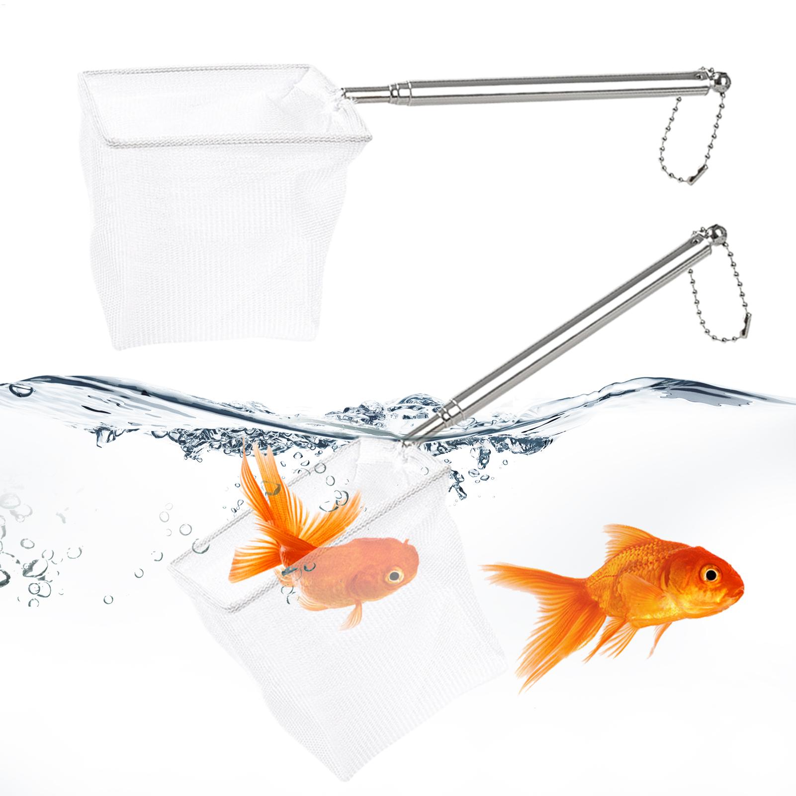 ชุดอุปกรณ์ตกปลา 2 ชิ้น ตาข่ายด - Fish Net Handle บทวิจารณ์และราคา