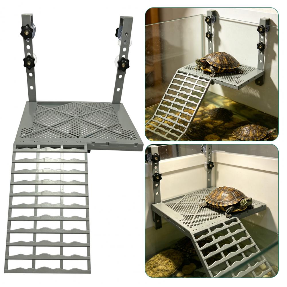 แท่นพักผ่อนสำหรับเต่าแบบแขวนติ - Aquarium Fish Gallery บทวิจารณ์และราคา