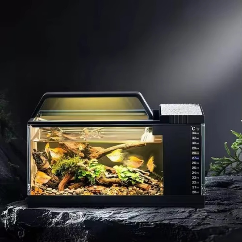 ตู้ปลาสไตล์อเมริกาใต้ - ตู้ปลา - Aquarium Fish Low Maintenance บทวิจารณ์และราคา