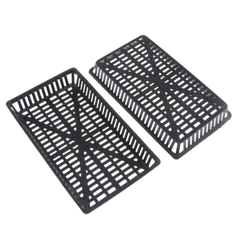 ตะกร้าปลูกพืชน้ำแบบไม่ใช้ดิน ถ - Aquarium Fish Low Maintenance บทวิจารณ์และราคา