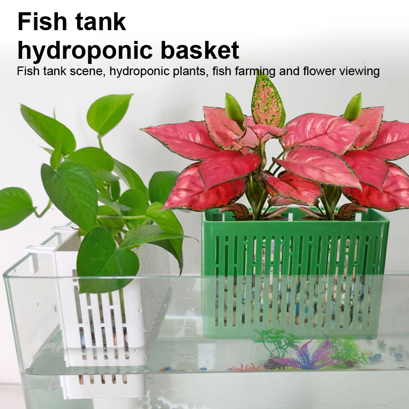 【F】กระถางแขวนตู้ปลา ที่วางต้นไ - Aquarium Fish Gallery บทวิจารณ์และราคา