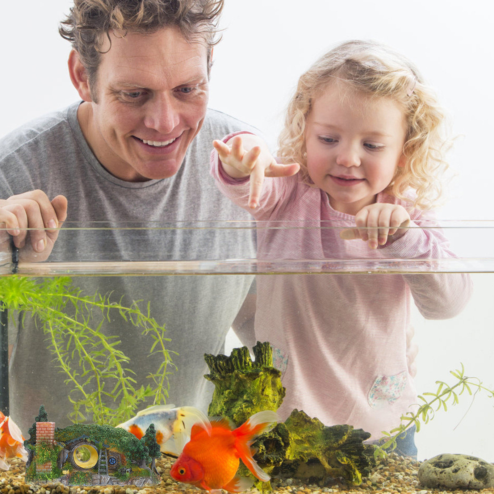 ของตกแต่งตู้ปลา 1 ชิ้น ทำจากเร - Aquarium Fish Low Maintenance บทวิจารณ์และราคา